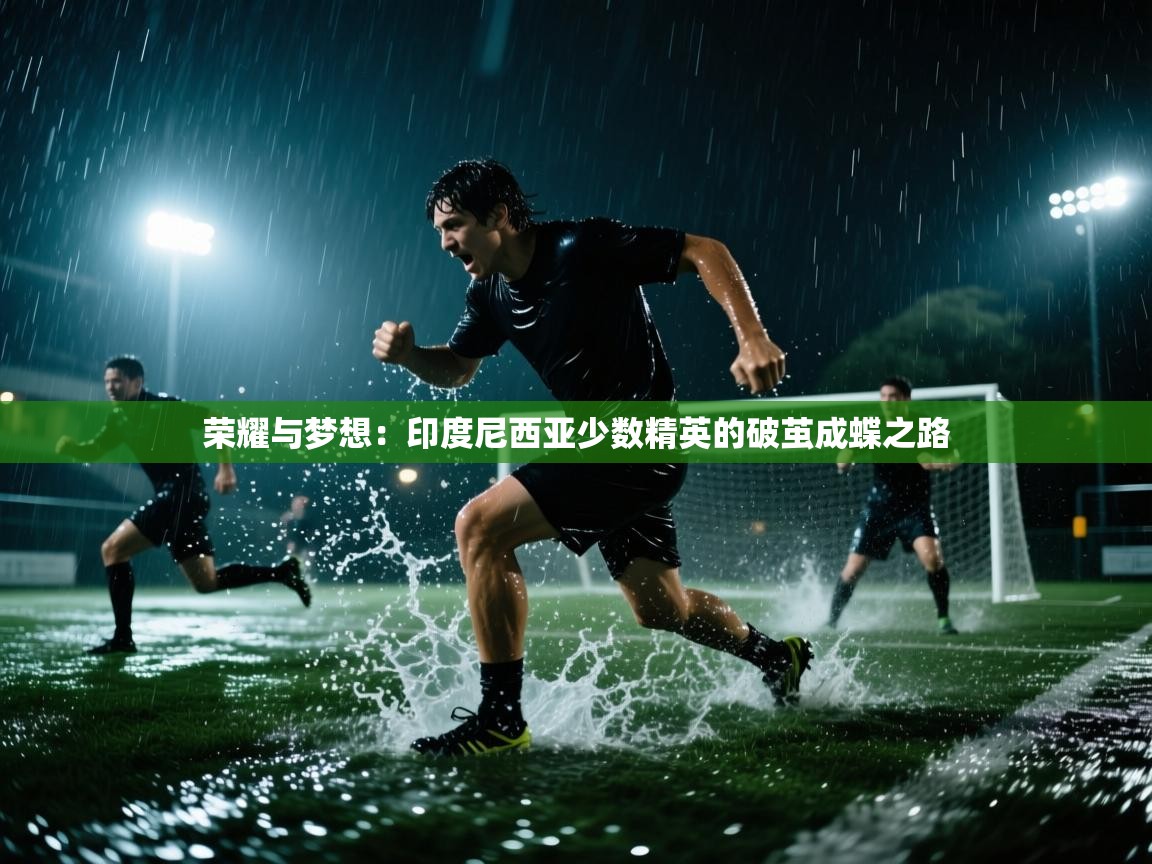 荣耀与梦想:印度尼西亚少数精英的破茧成蝶之路 第1张