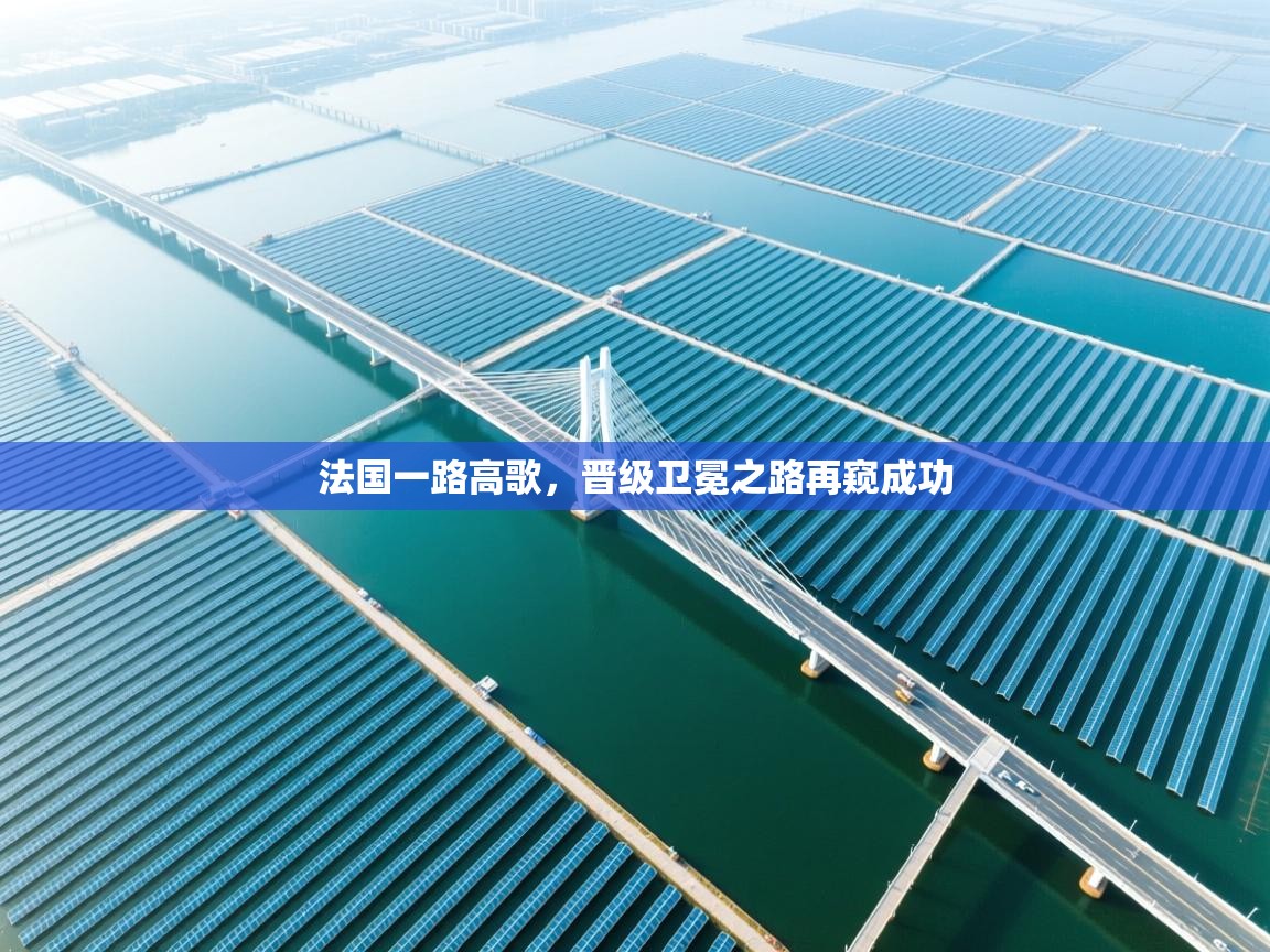 法国一路高歌,晋级卫冕之路再窥成功 第1张